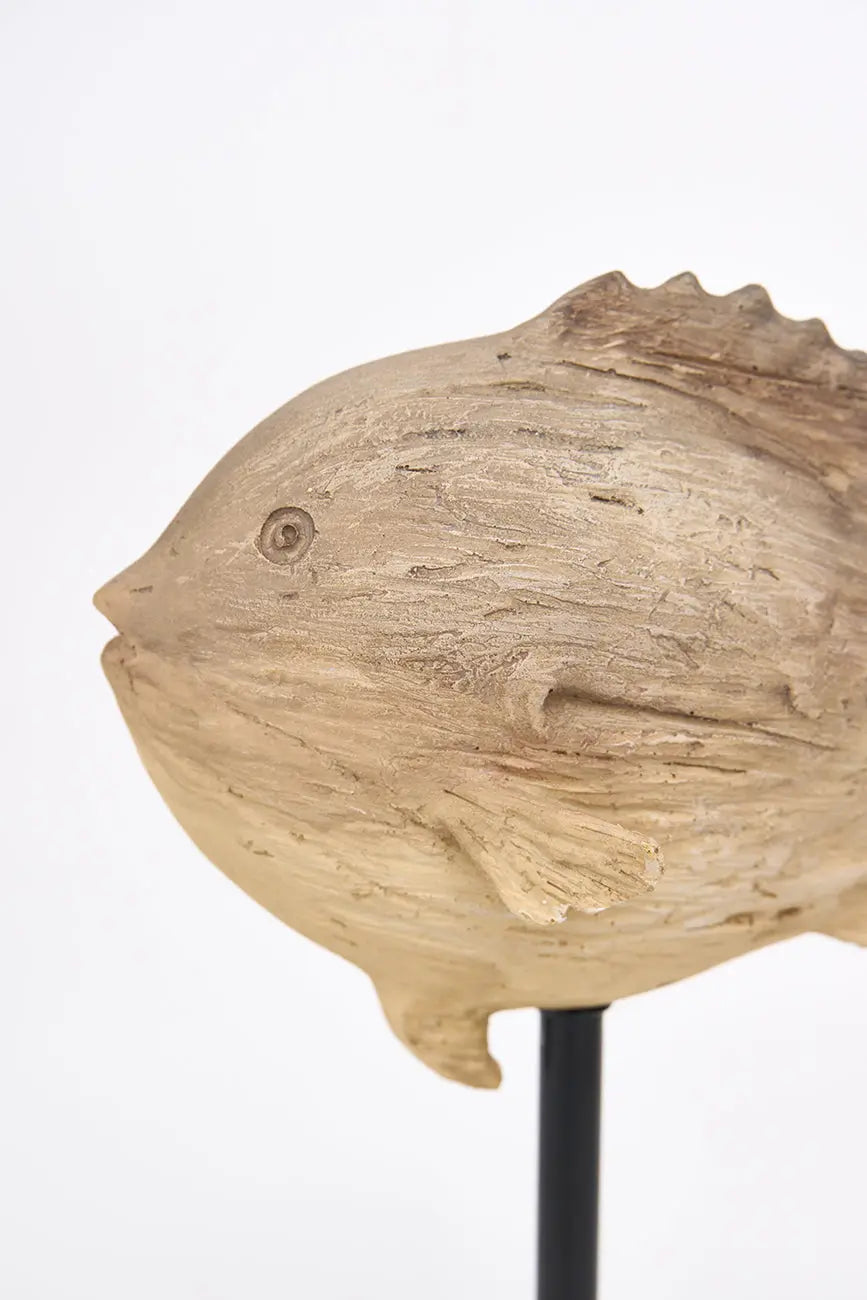 Fish on foot - 15 cm
