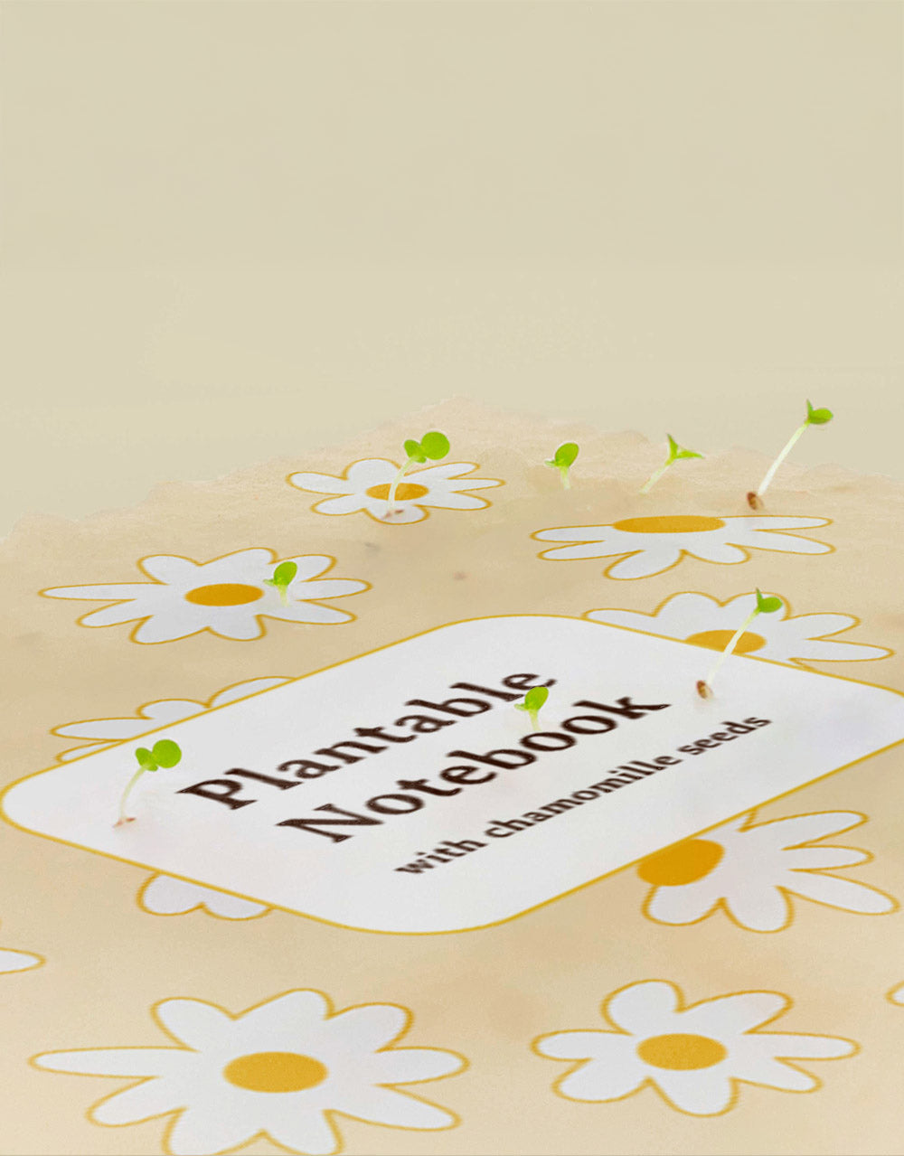 Pflanzbares Notizbuch „Kamille“