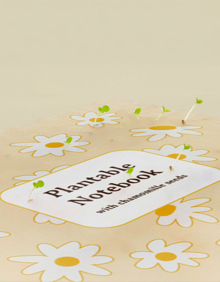 Pflanzbares Notizbuch „Kamille“