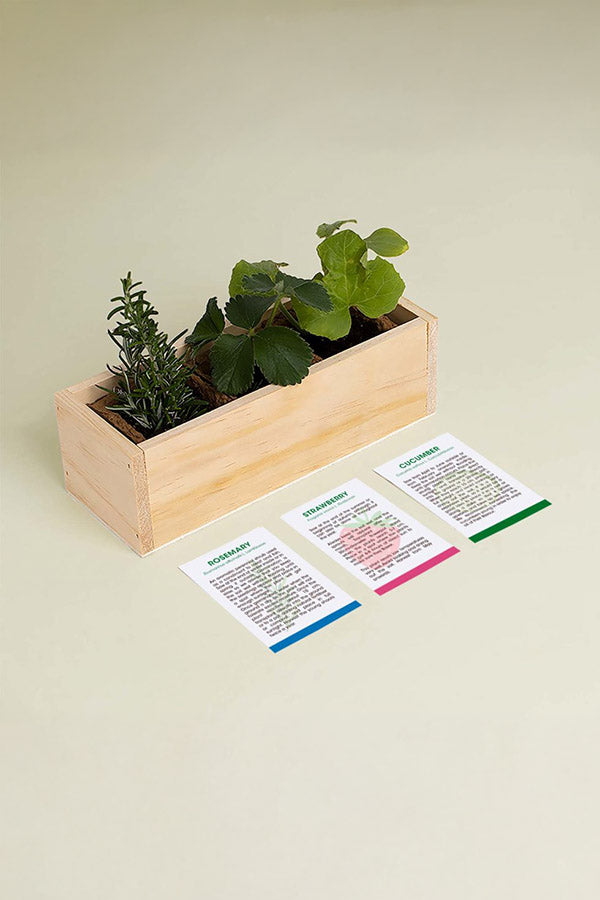 Gin Tonic Growing Kit