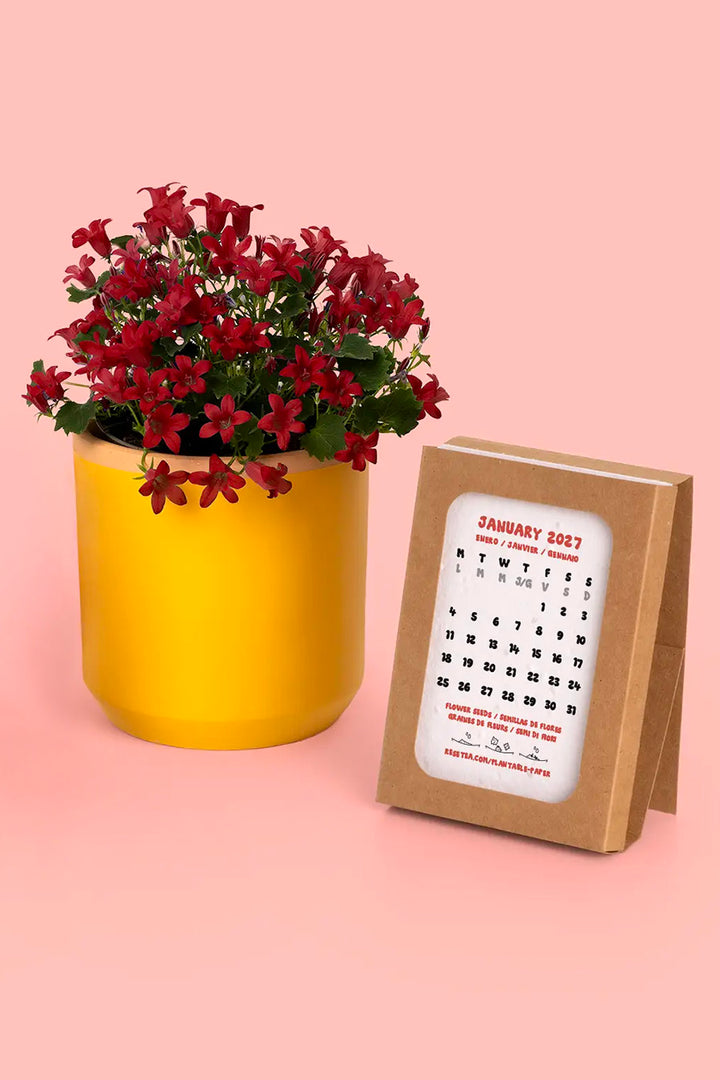 Plantbar Kalender 2027