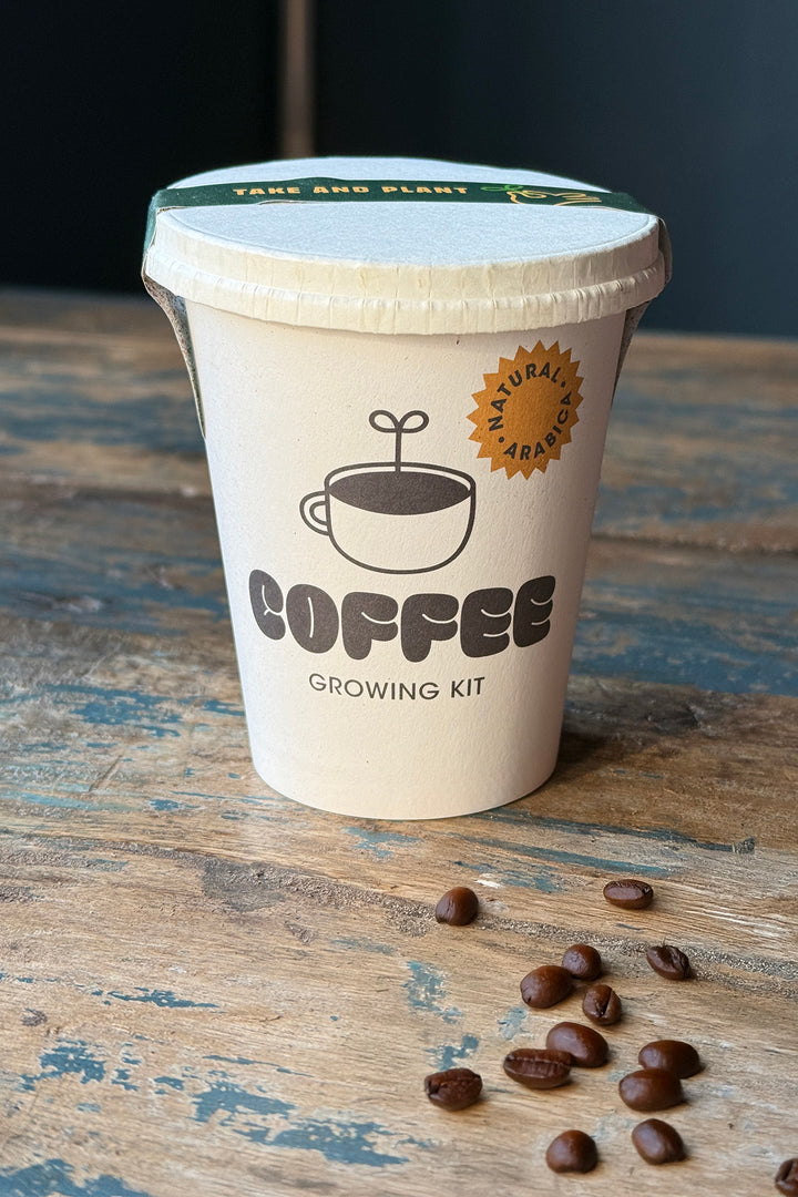 Coffee Growing Kit