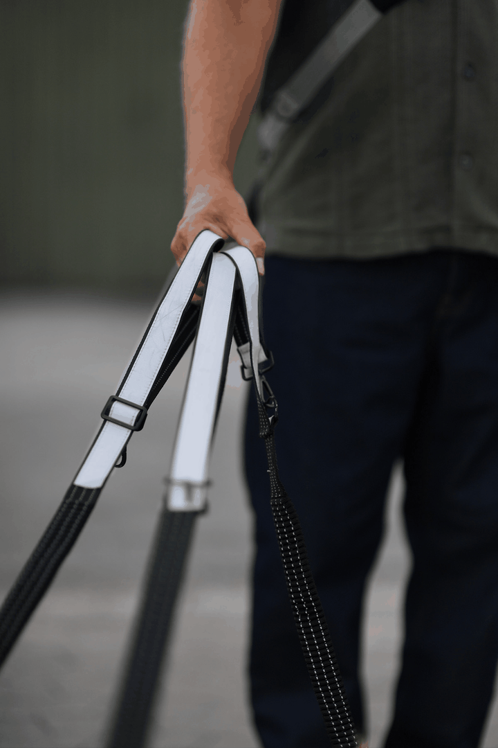 Multifunctional Dog Leash with Reflector - "Safe & Shine"