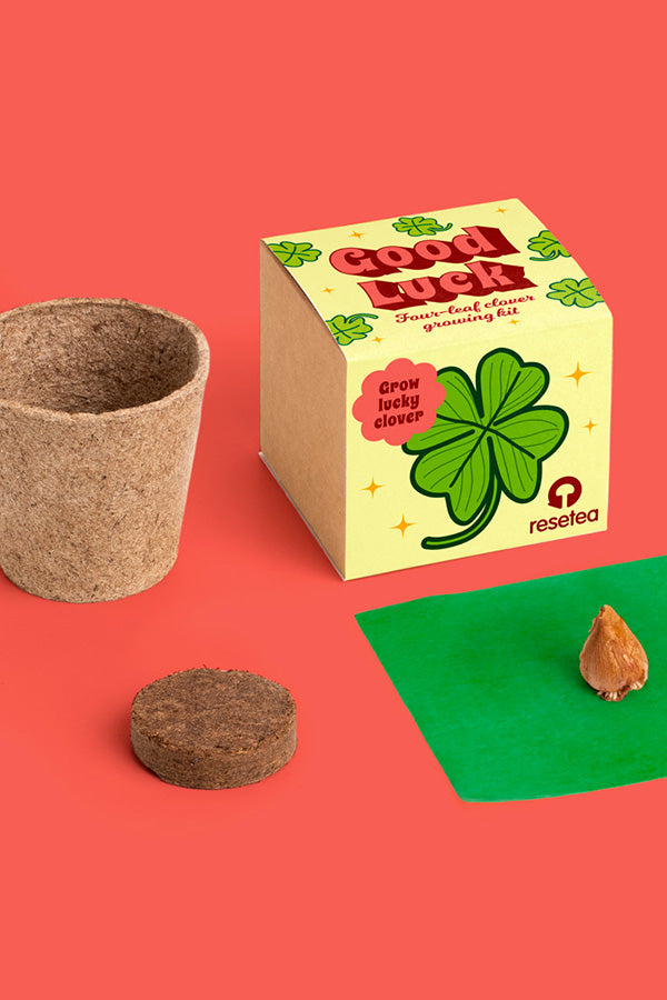 Good Luck – Firkløver Growing Kit