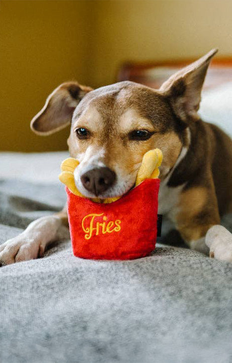 Fries - for dogs