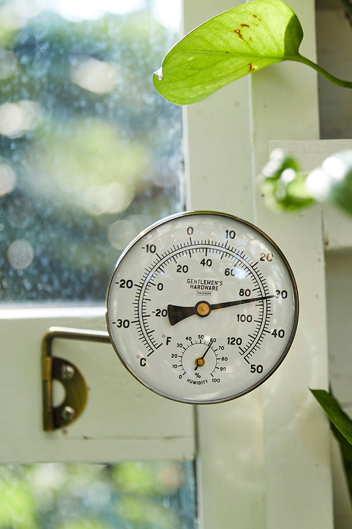 Garten-thermometer