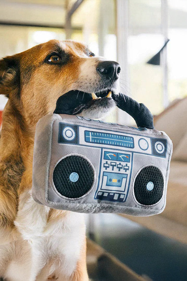 Ghetto blaster - for dogs