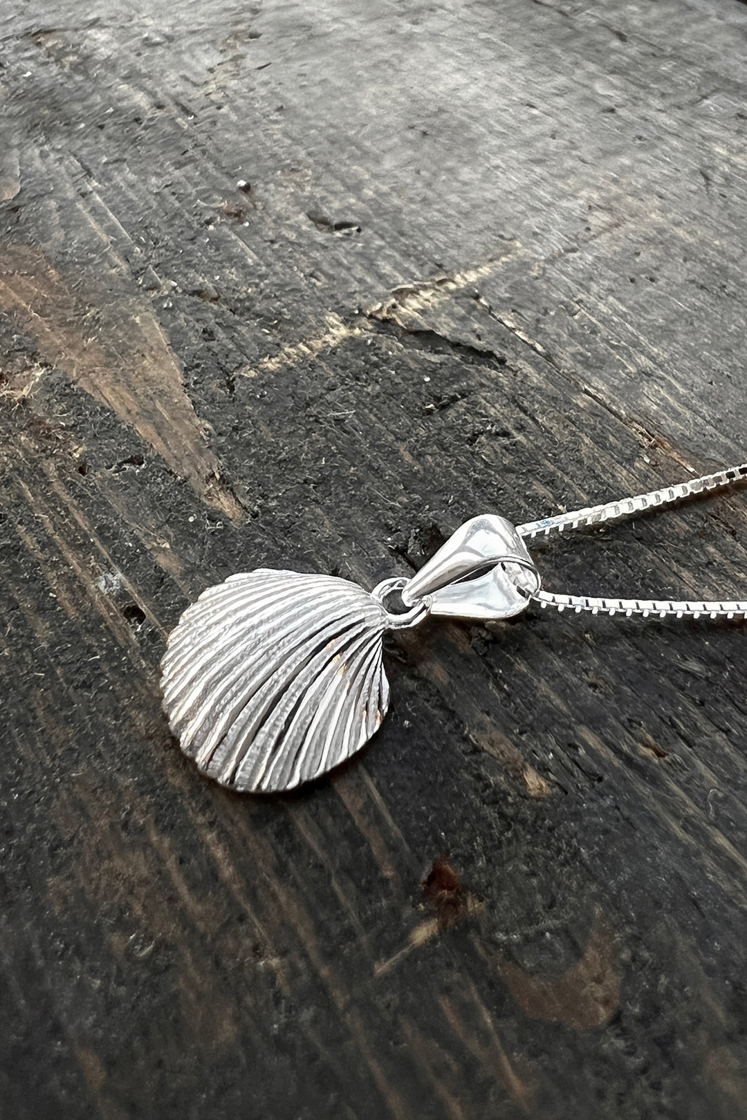 Necklace with cockleshell