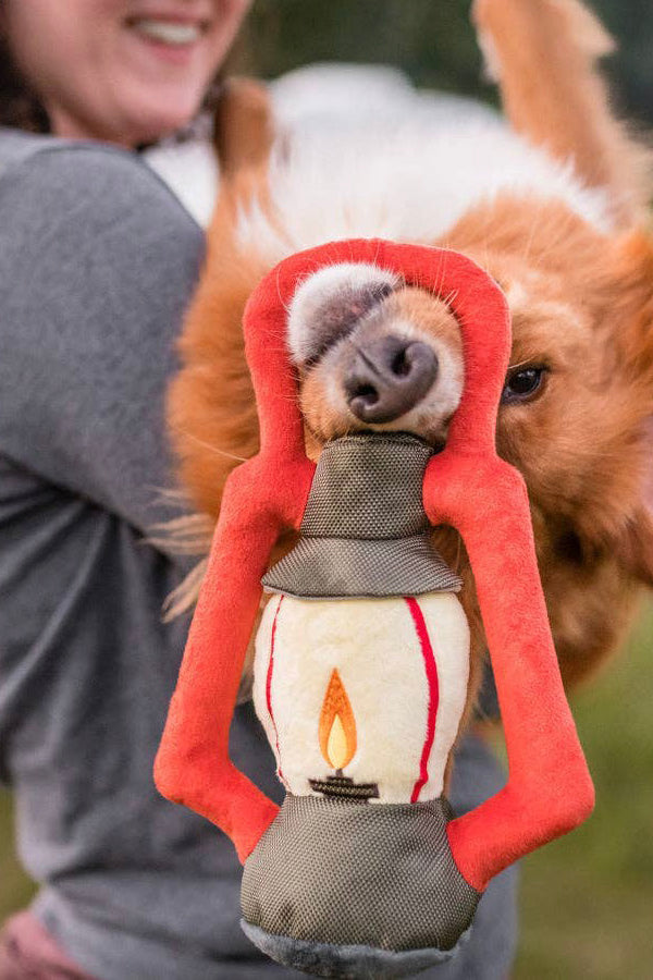 Lantern - for dogs