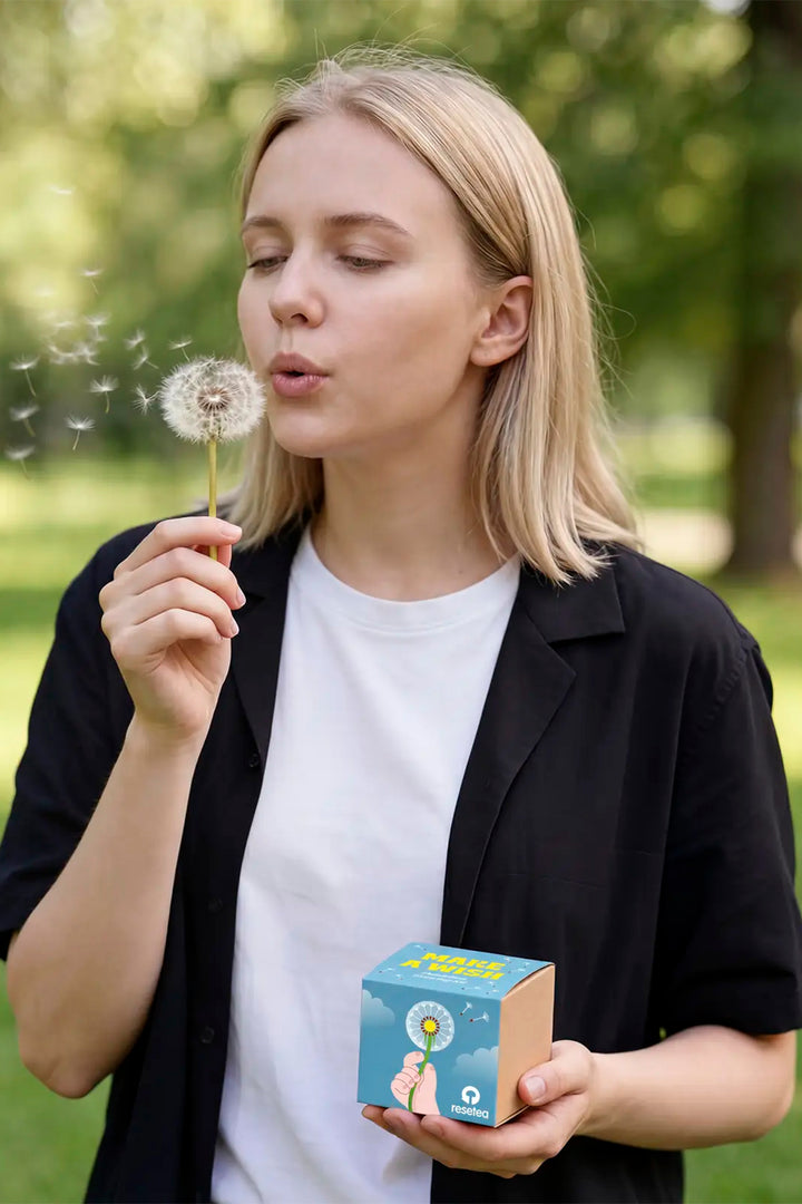 Wünsch dir was – Anzuchtset