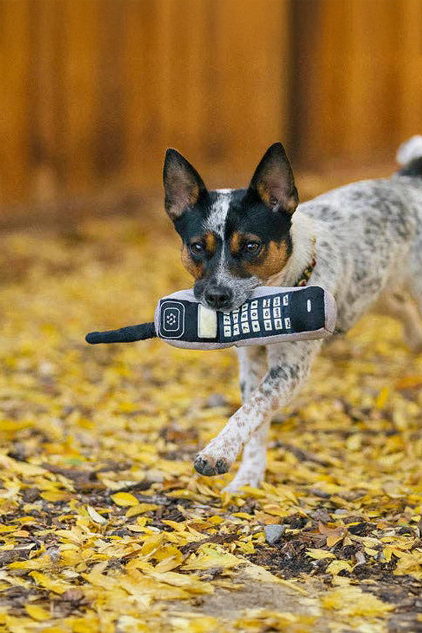 Mobile phone - for dogs