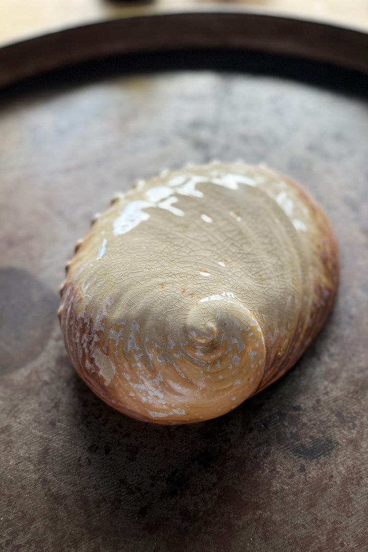 Keramikteller/Schale „Muschel“