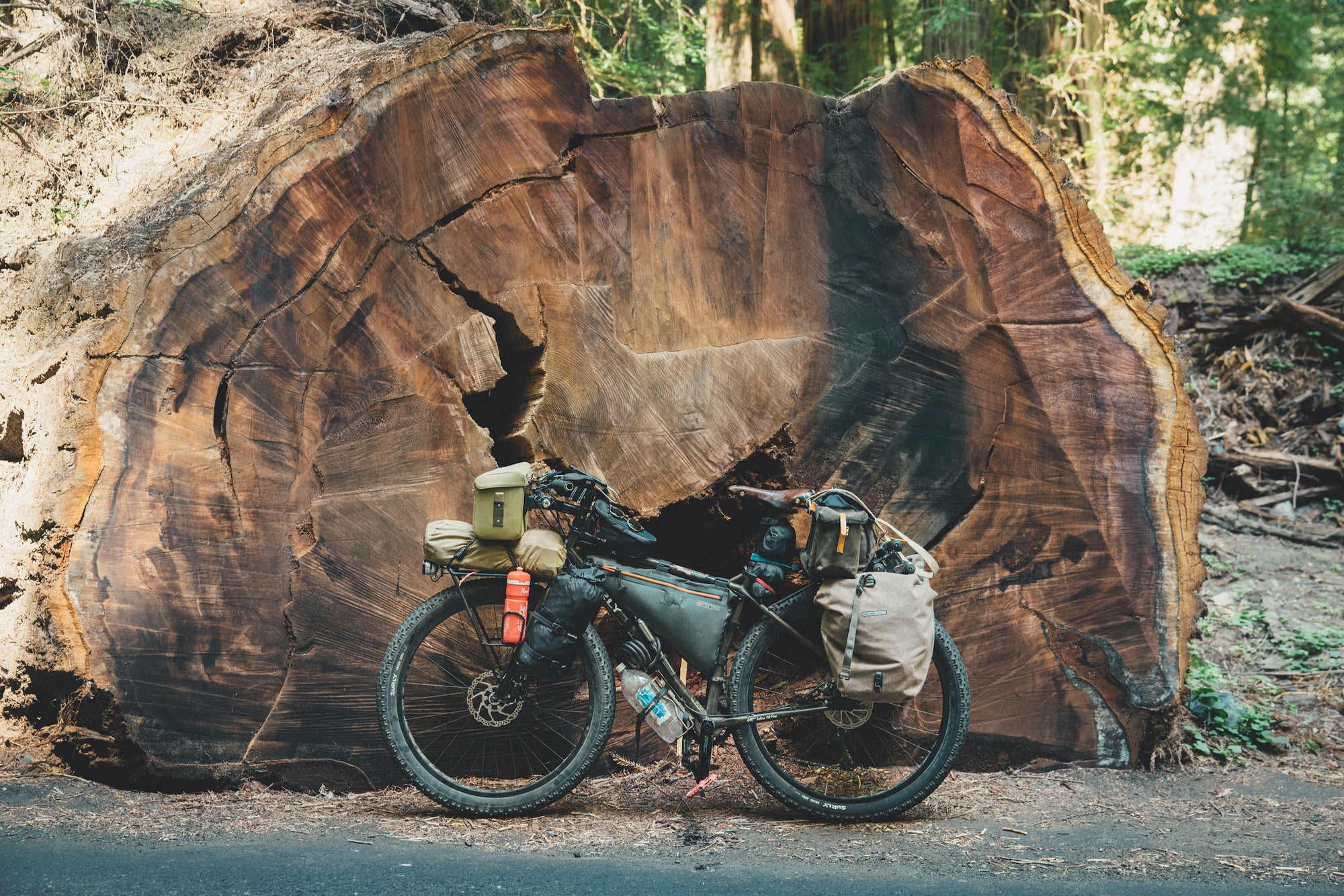 Book "Two Years on a Bike"