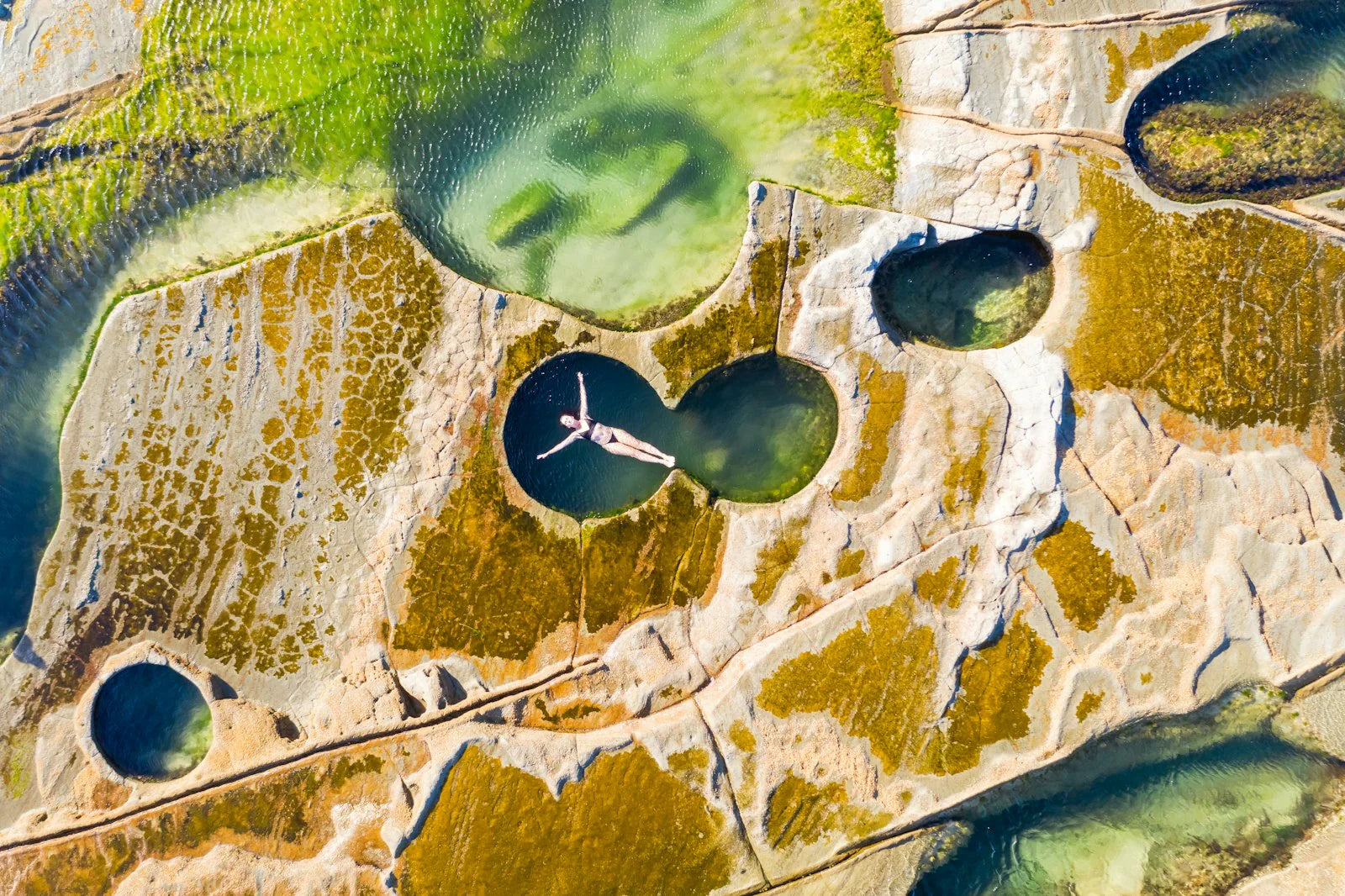 Book "The Nature of Swimming"