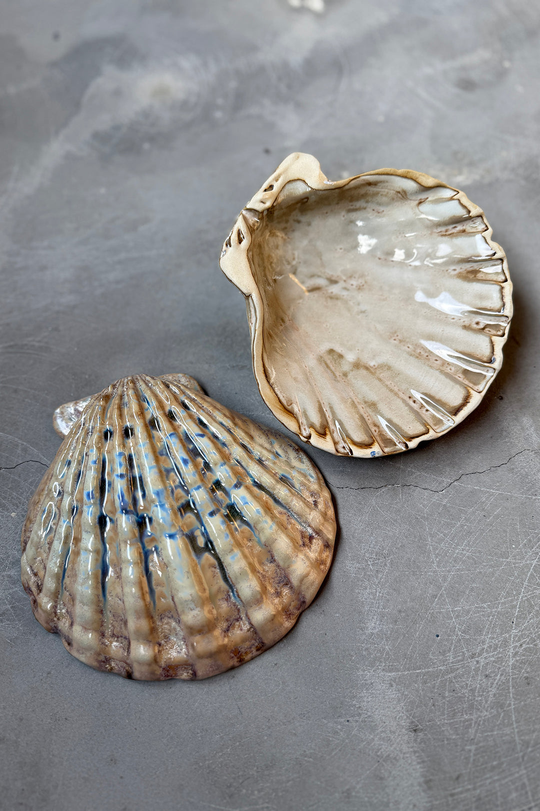 Shell Plates - Keramik (2 stk)