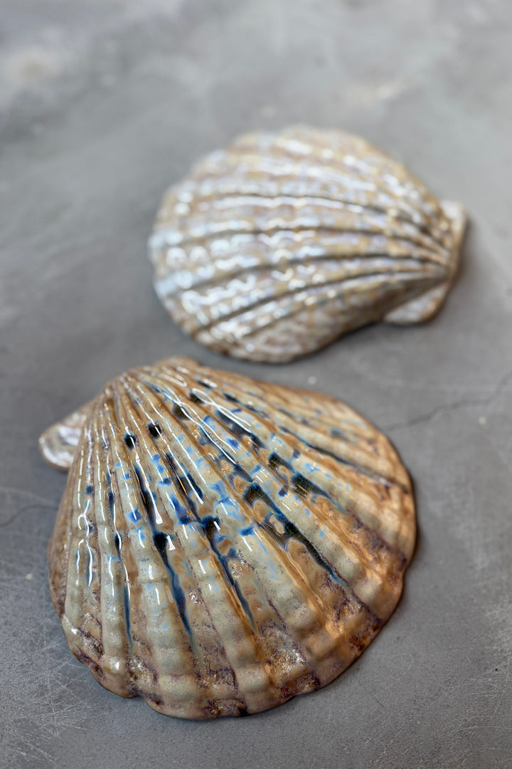 Shell Plates - Keramik (2 stk)