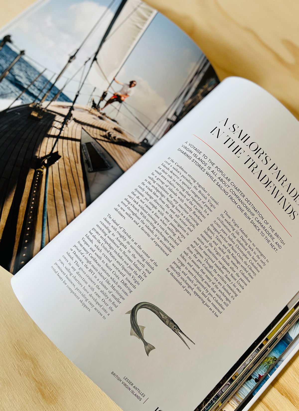Sailing the Seas - 256 sider