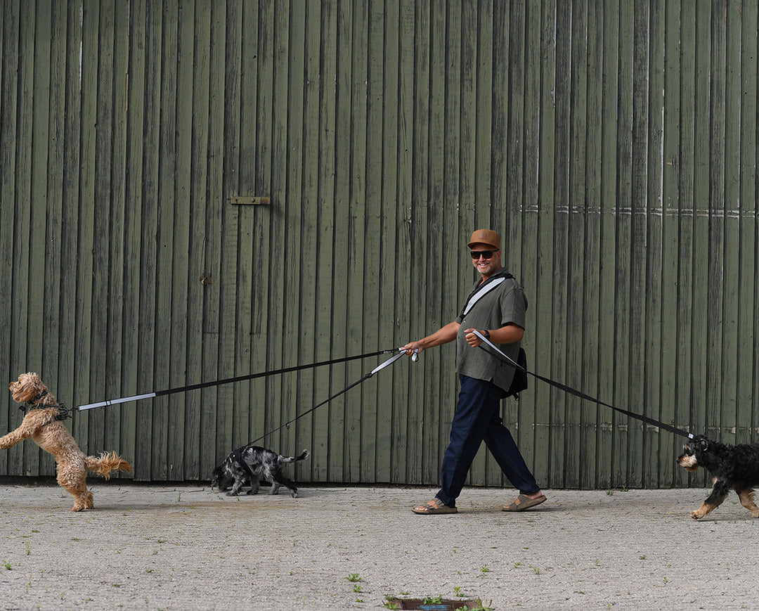 Multifunctional Dog Leash with Reflector - "Safe & Shine"