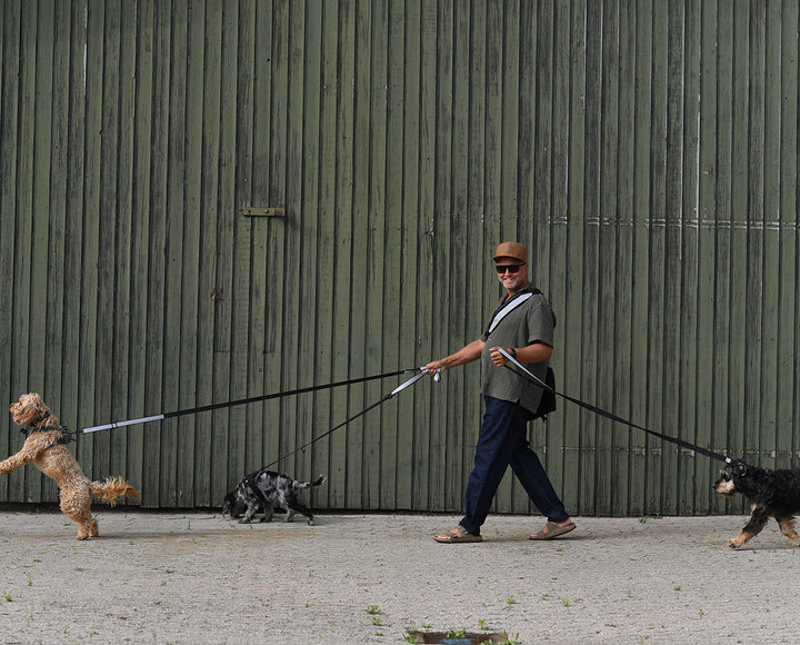 Multifunctional Dog Leash with Reflector - "Safe & Shine"