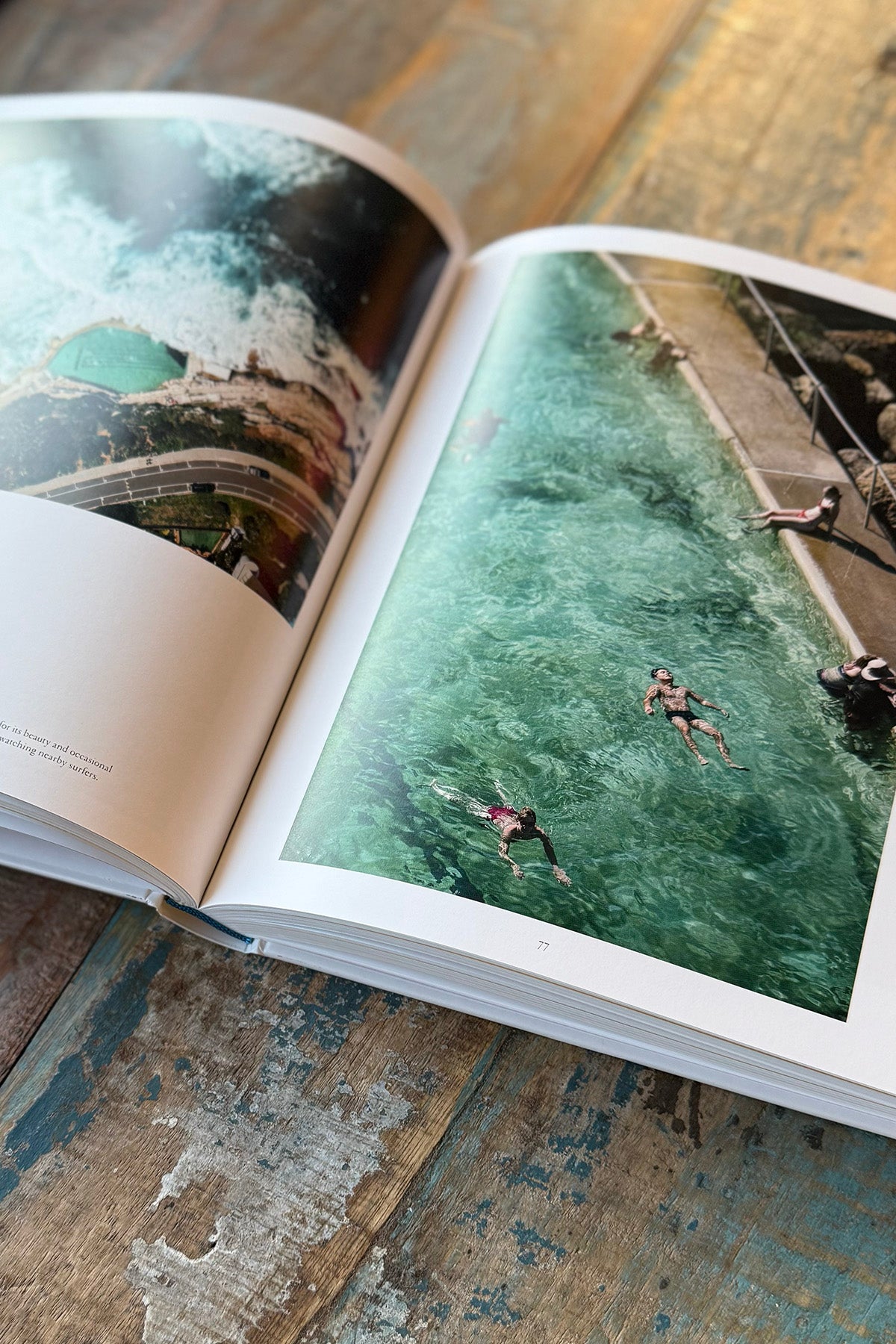 Book "The Nature of Swimming"