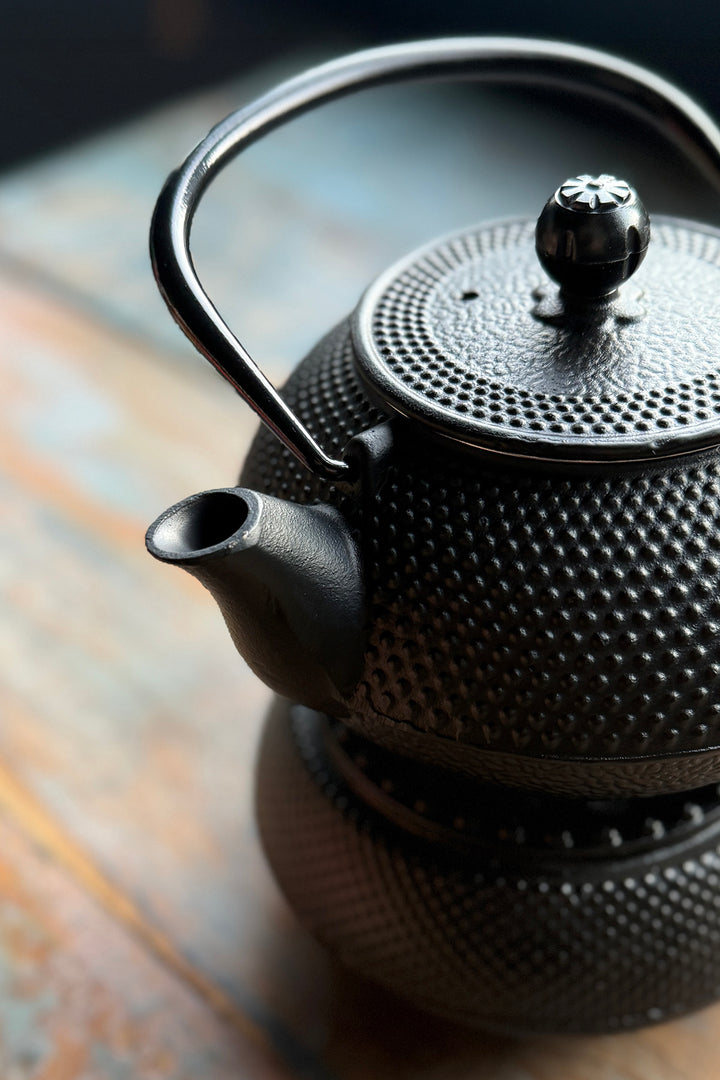 Cast iron teapot including heater
