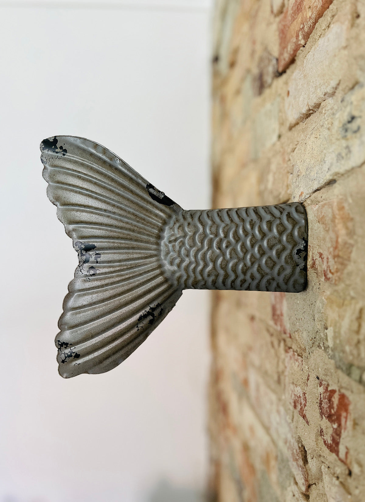 Fish Tail - Metal
